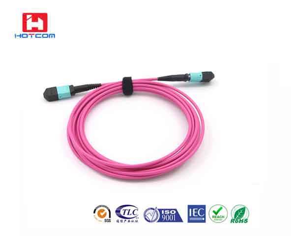 12Core MPO-MPO Multimode OM4 fiber patchcord 2meters LSZH,vielot