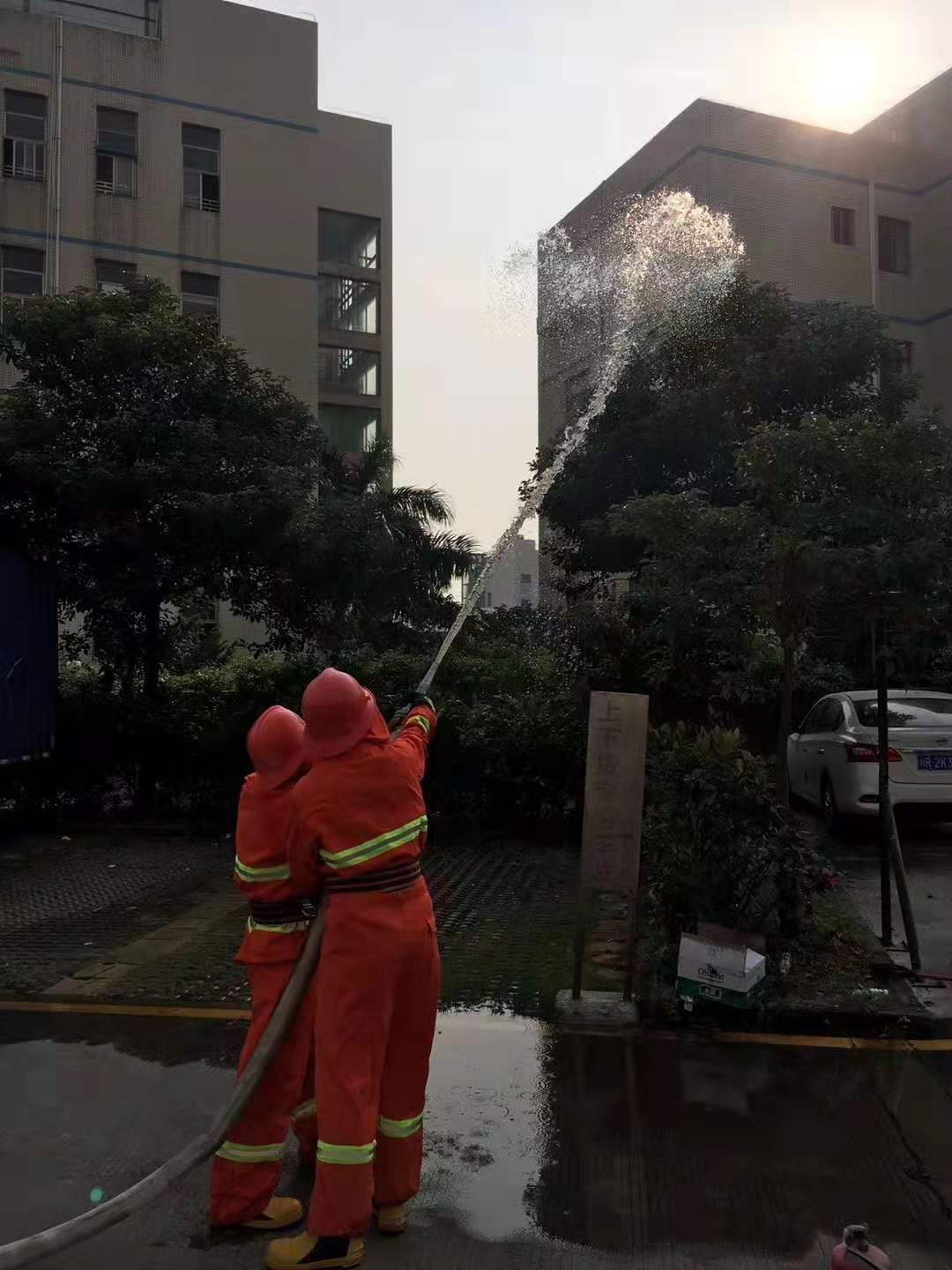 ���v���2019��������(x��)-3