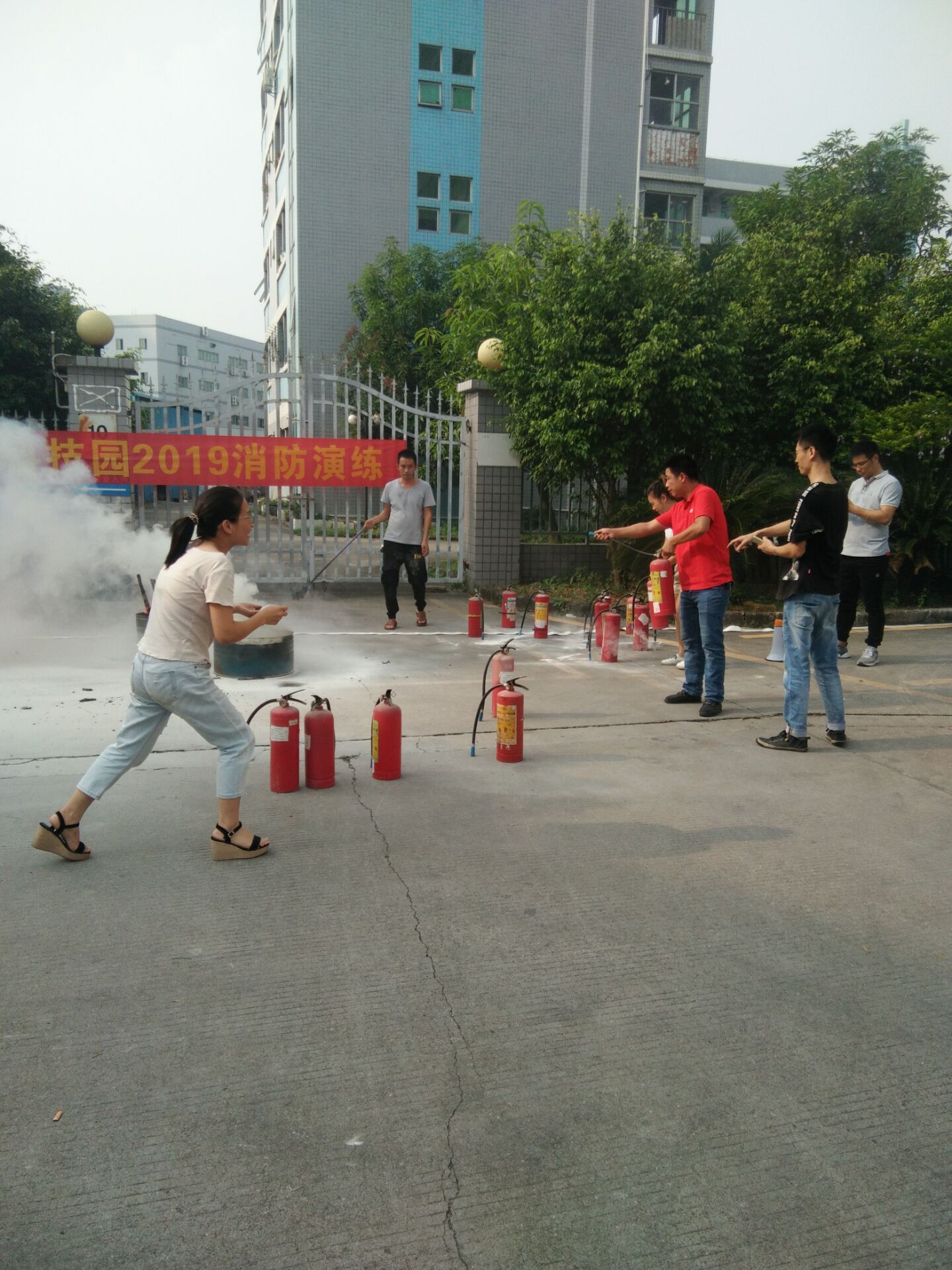 ���v���2019��������(x��)-4